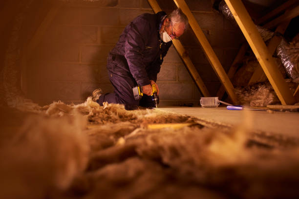 Trusted Monee, IL Insulation Contractor Experts