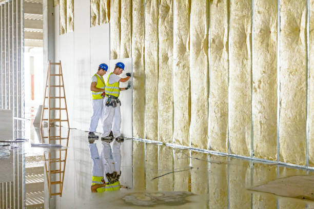 Types of Insulation We Offer in Monee, IL